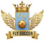 Fly Soccer